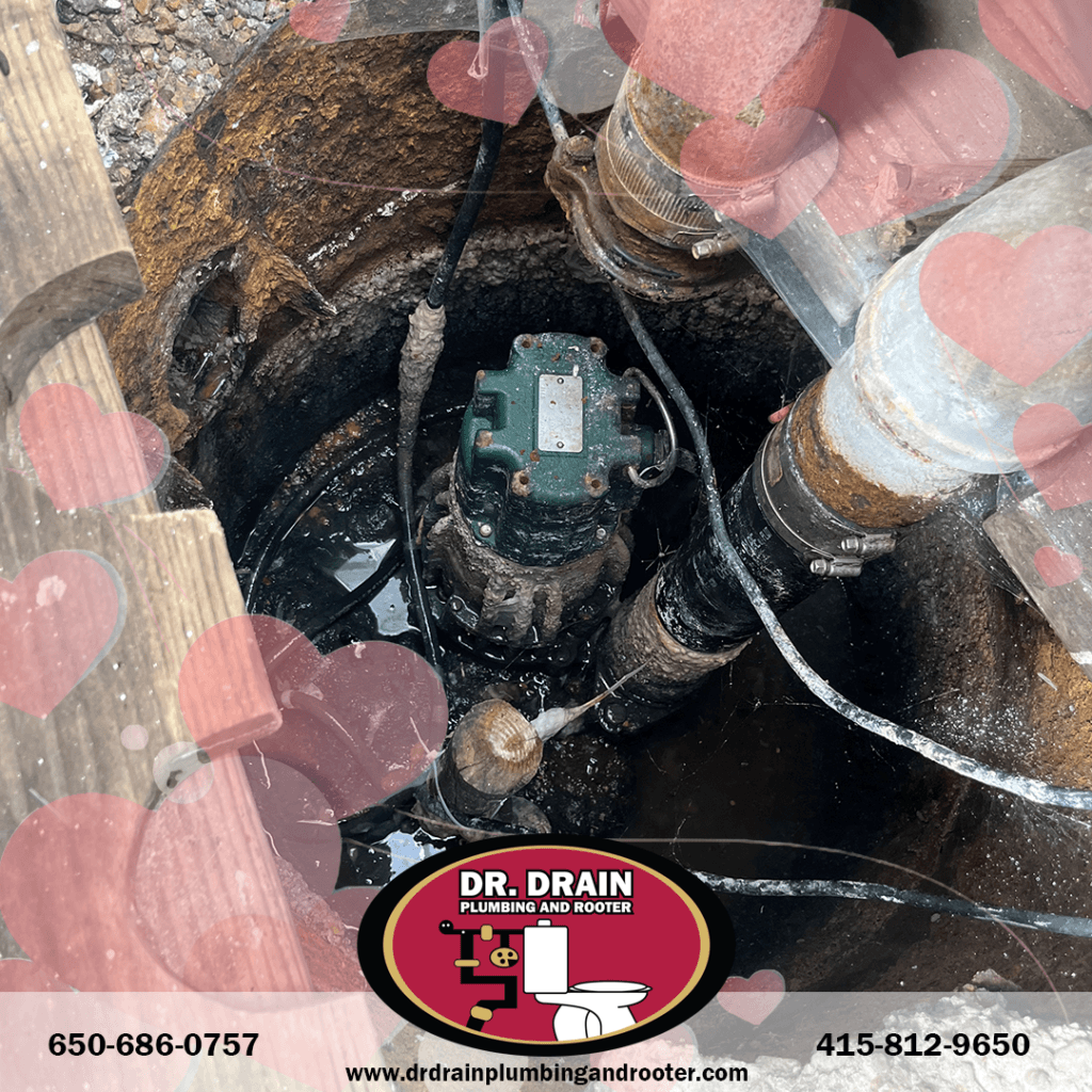 Professional Plumber, Plumber, Plumbing