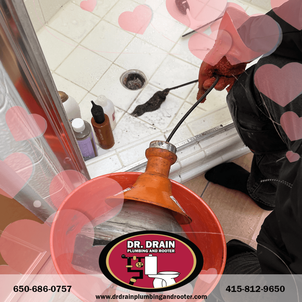 Professional Plumber, Plumber, Plumbing