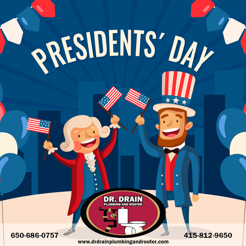 Professional Plumber, Plumber, Plumbing