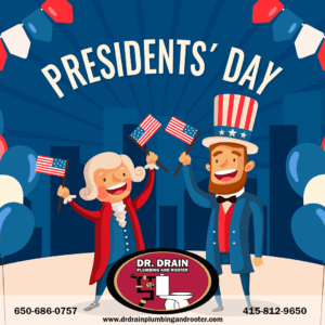 Professional Plumber, Plumber, Plumbing