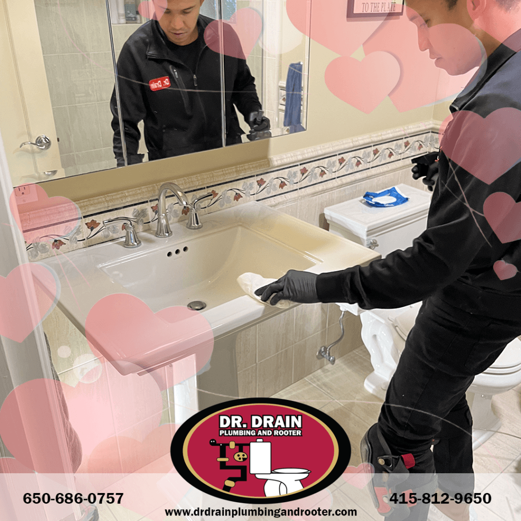 Professional Plumber, Plumber, Plumbing