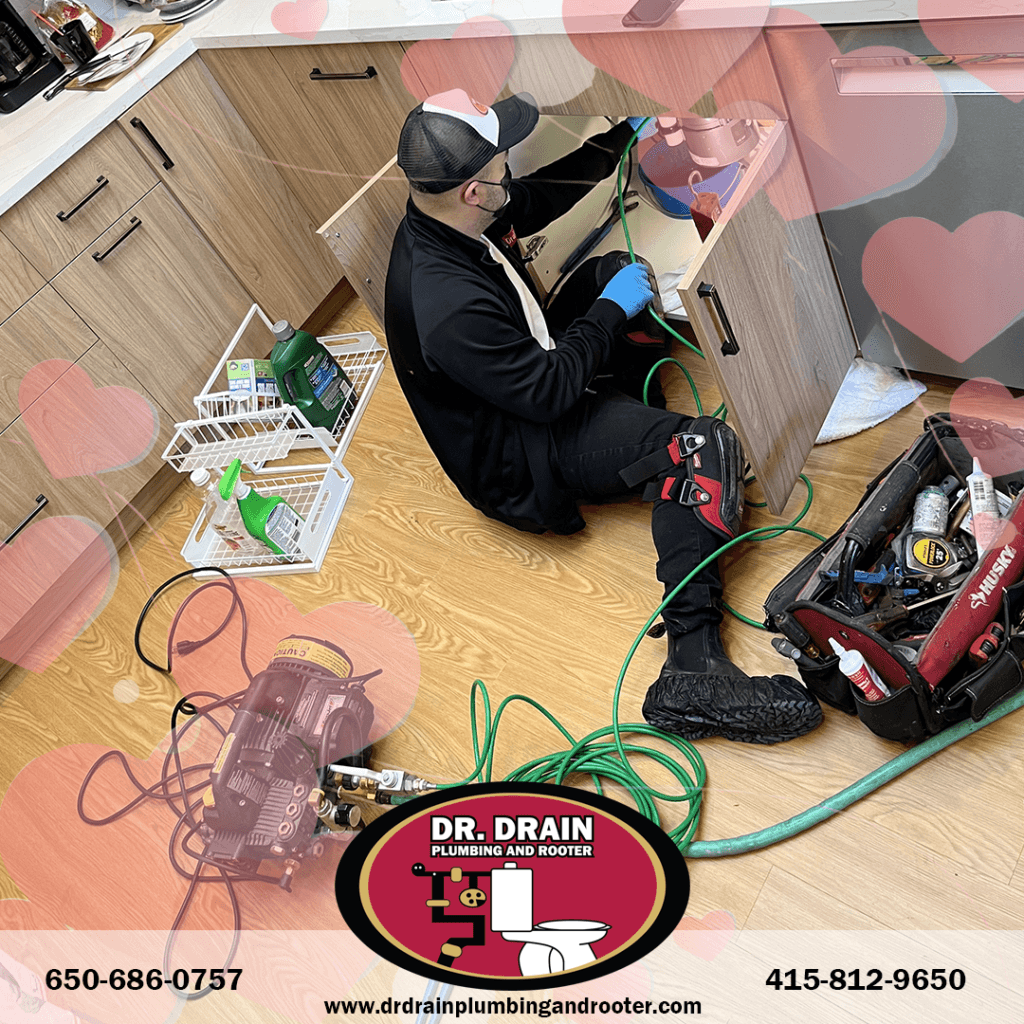 Professional Plumber, Plumber, Plumbing