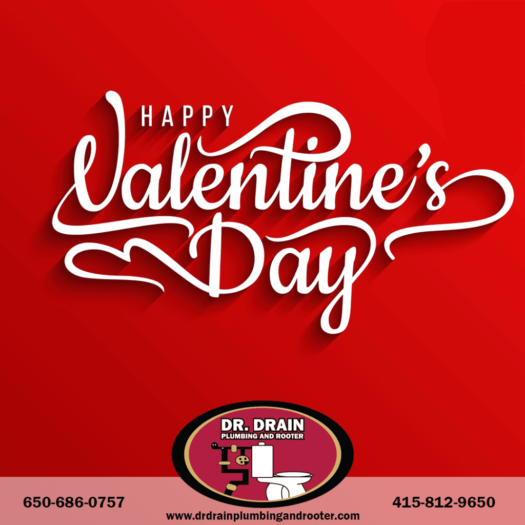 Professional Plumber, Plumber, Plumbing