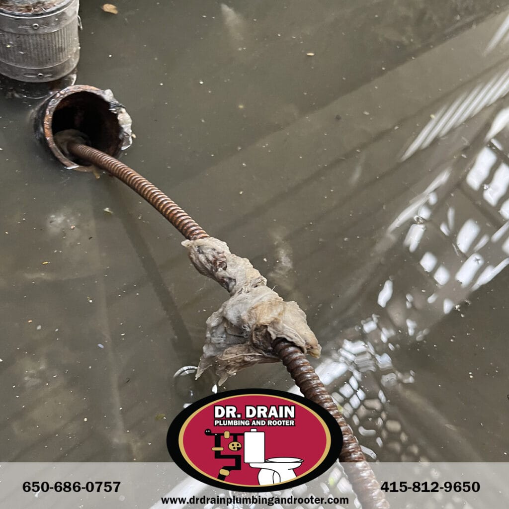 Plumber, Plumbing, Clogged Drains
